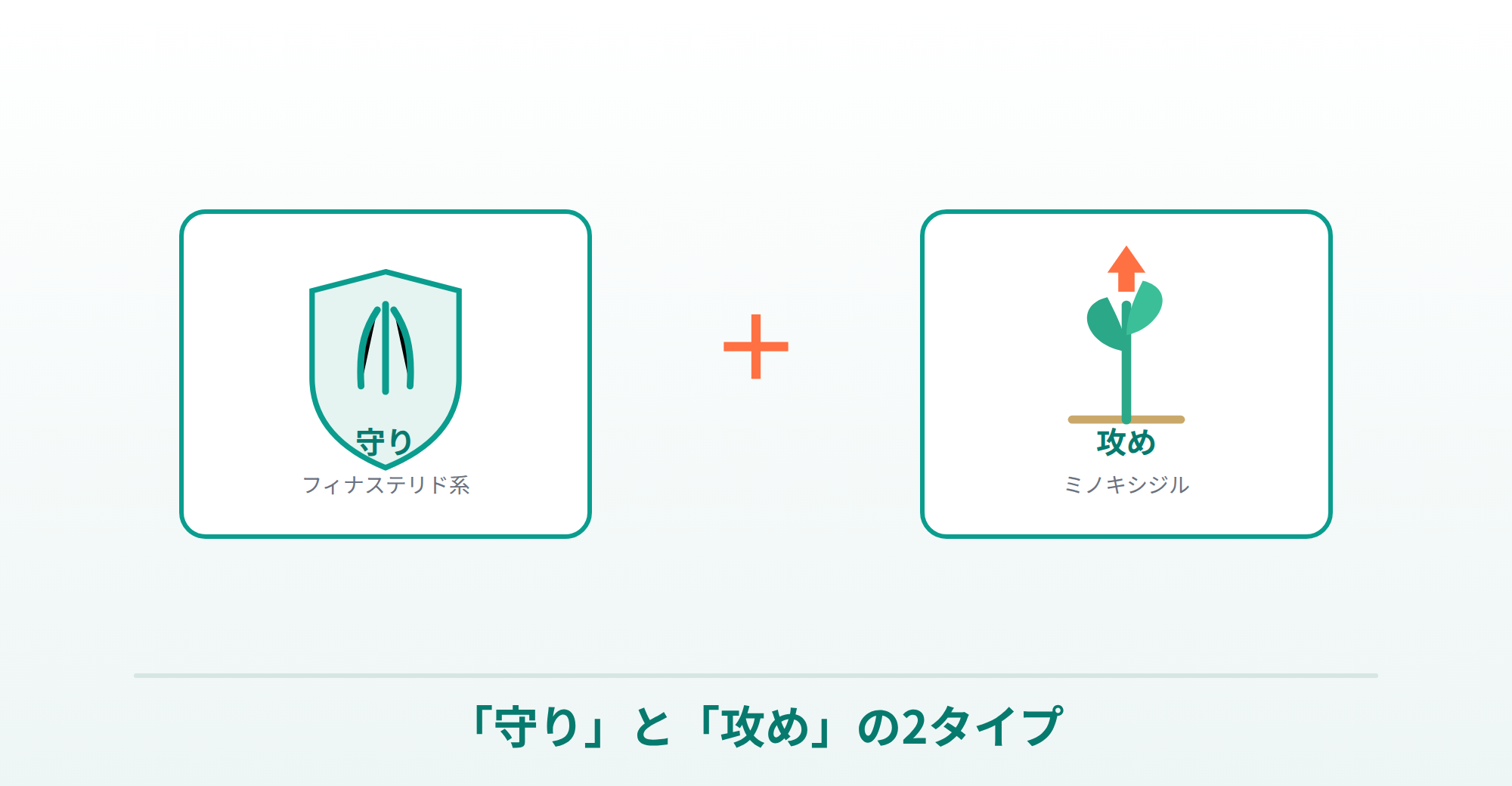 AGA治療薬の守り（フィナステリド系）と攻め（ミノキシジル）の2タイプを表した画像