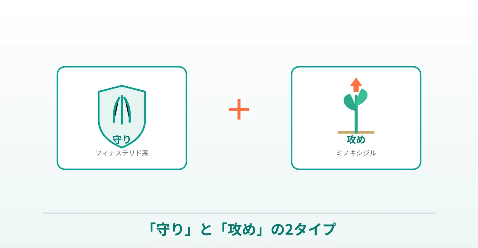 AGA治療薬の守り（フィナステリド系）と攻め（ミノキシジル）の2タイプを表した画像