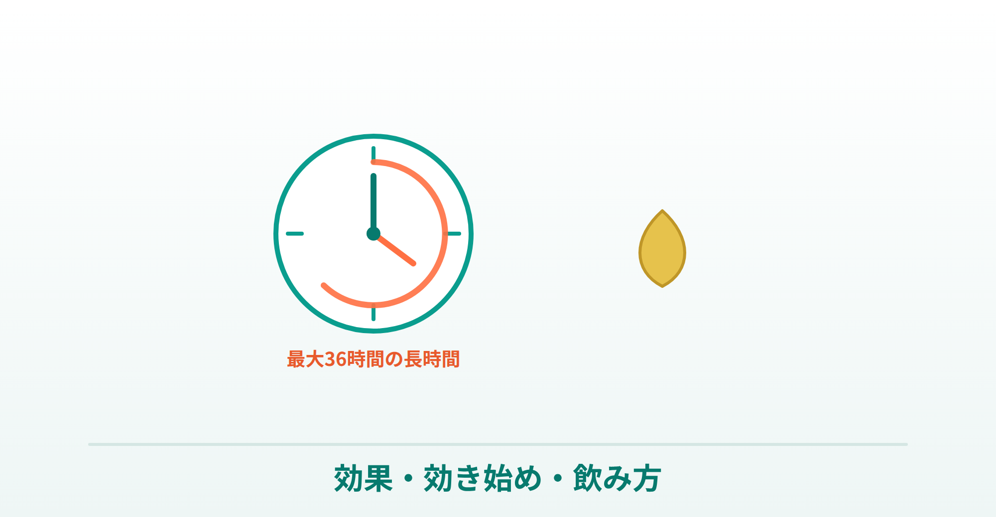 シアリスの効果と飲み方の説明画像