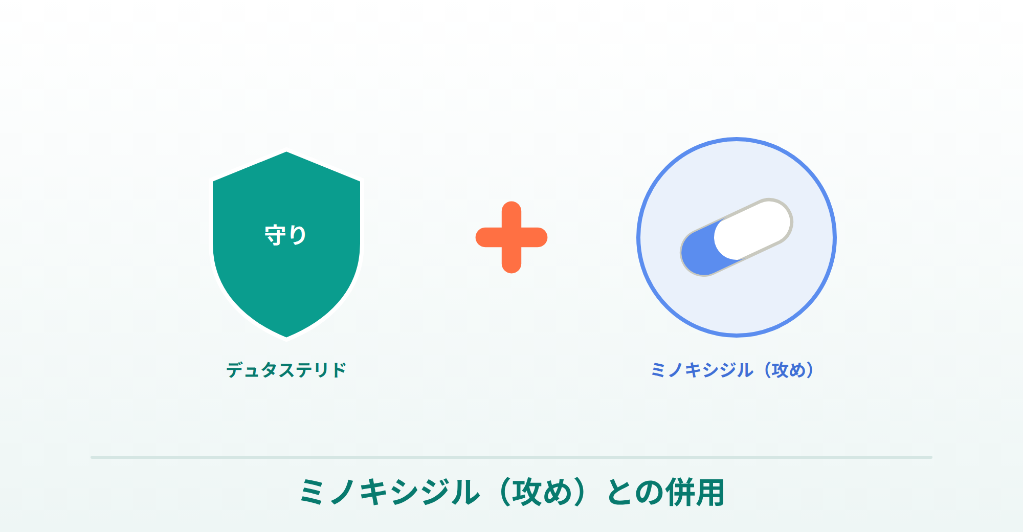 守り（デュタステリド）＋攻め（ミノキシジル）の併用を表した画像