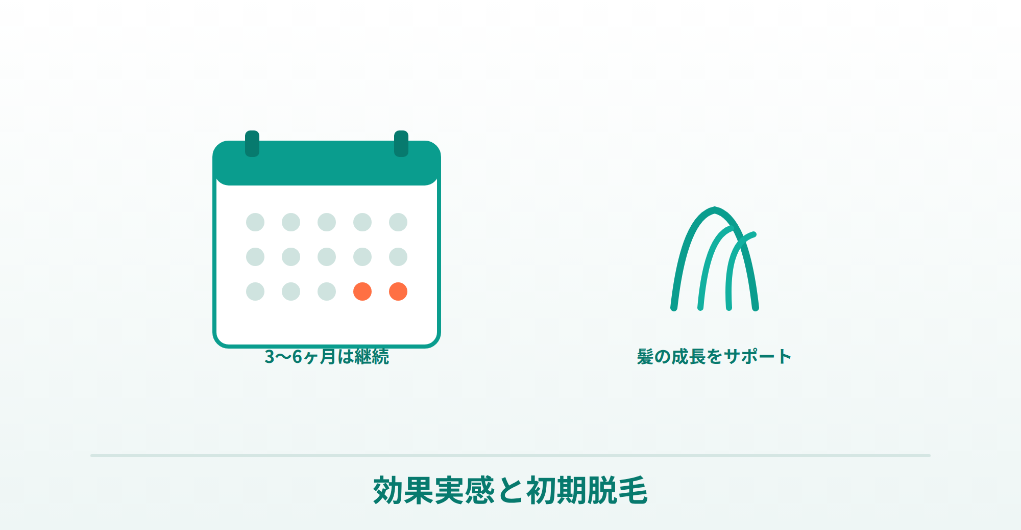 デュタステリドの効果実感まで（3〜6ヶ月）と初期脱毛を表した画像