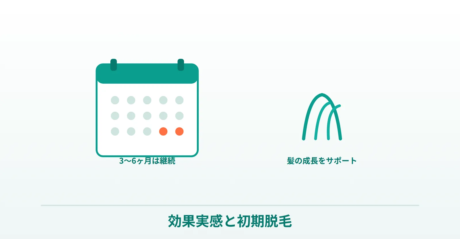 デュタステリドの効果実感まで（3〜6ヶ月）と初期脱毛を表した画像