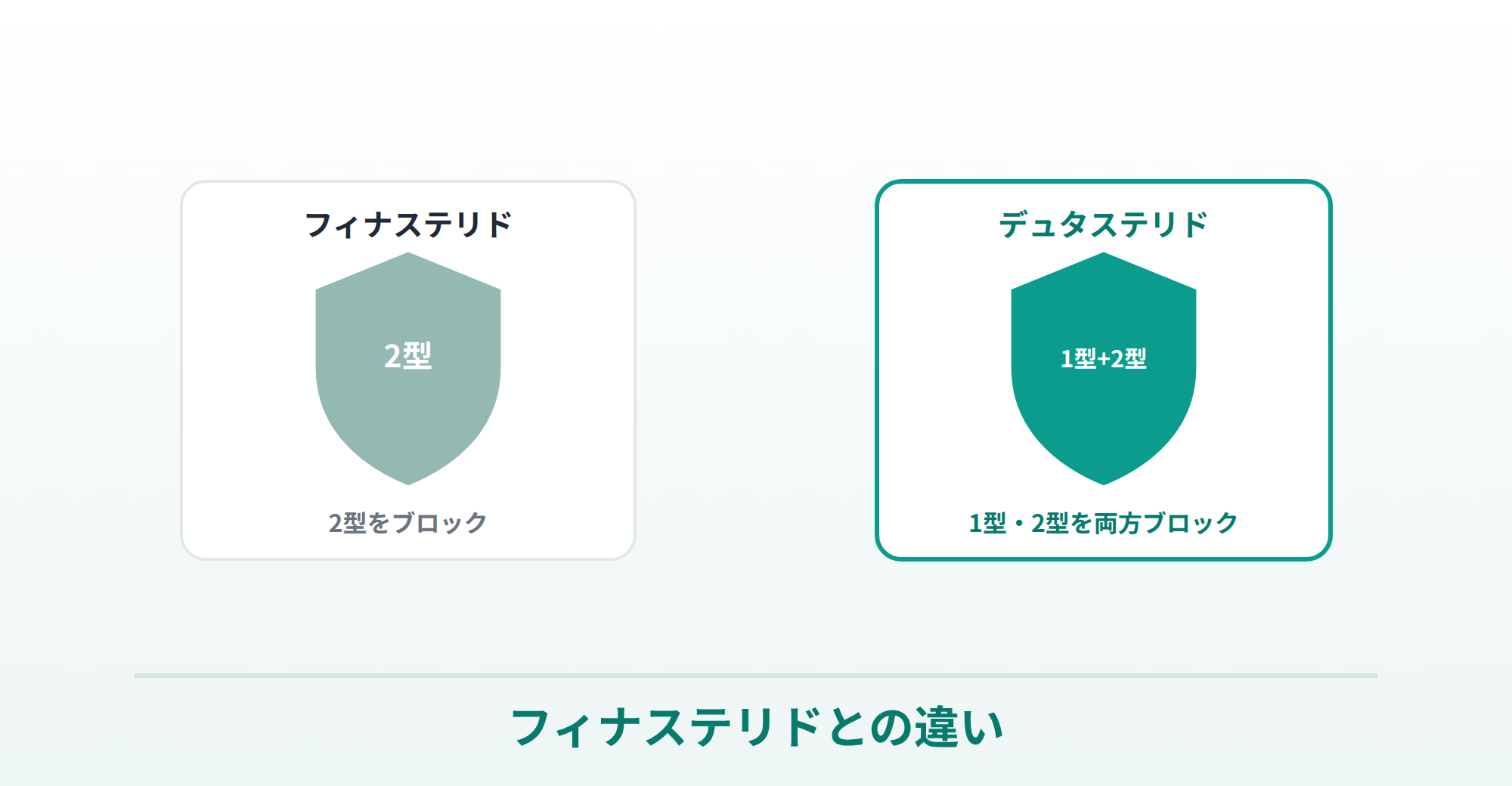 フィナステリド（2型のみ）とデュタステリド（1型・2型）の違いを表した画像