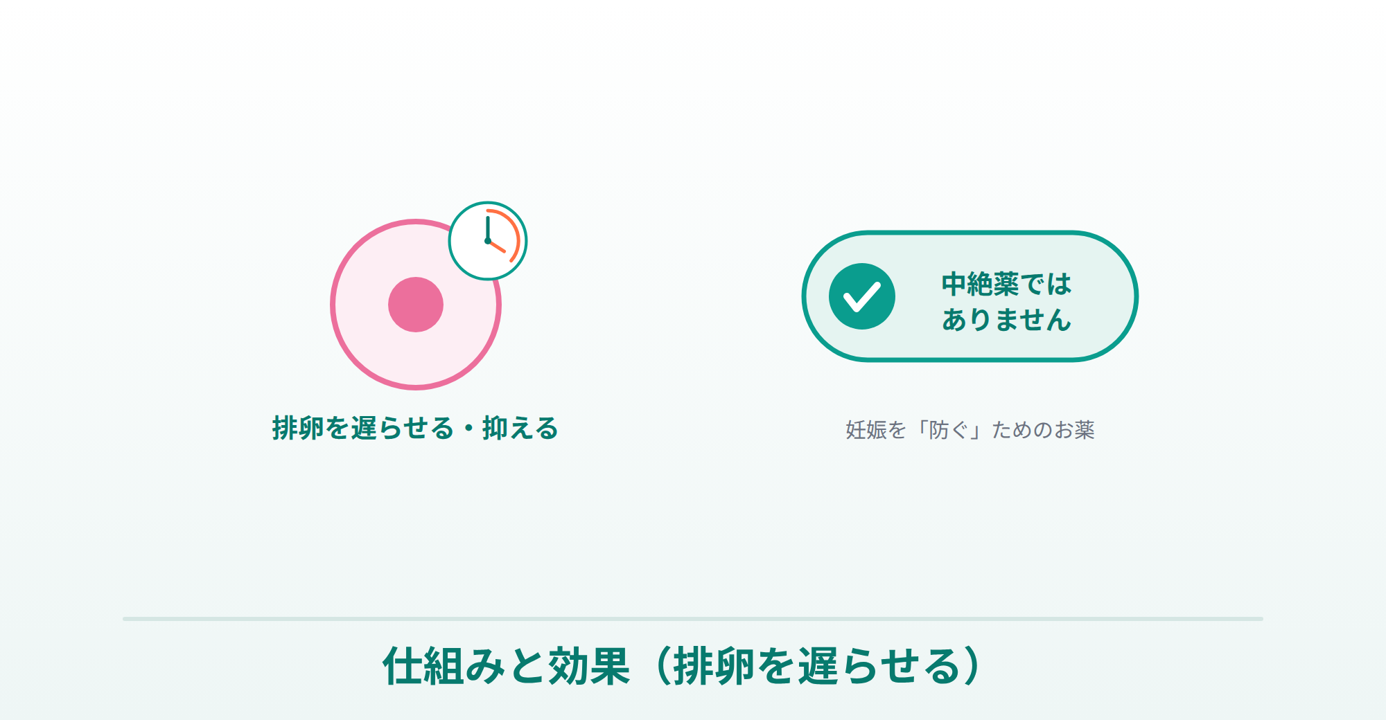 アイピルが排卵を遅らせて妊娠を防ぐ仕組み・中絶薬ではないことを表したイラスト