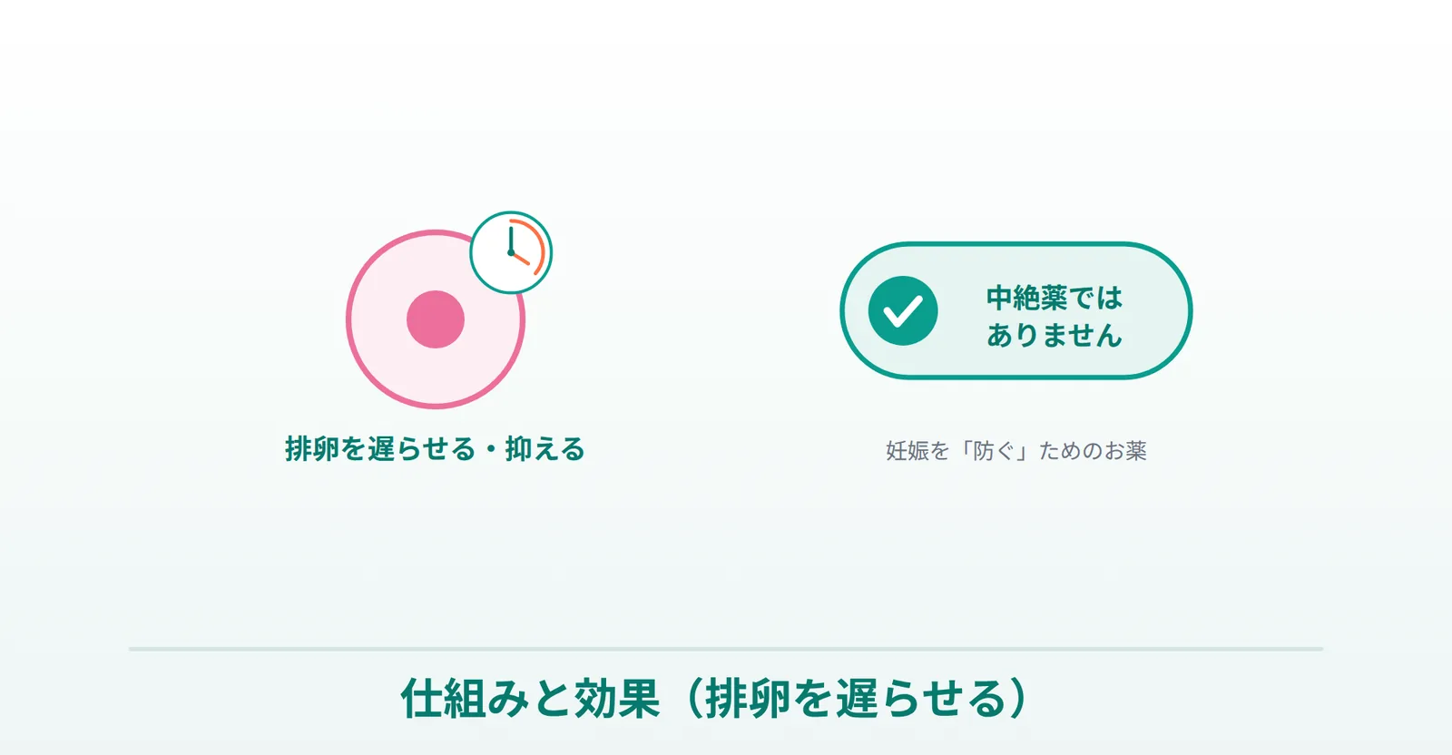 アイピルが排卵を遅らせて妊娠を防ぐ仕組み・中絶薬ではないことを表したイラスト