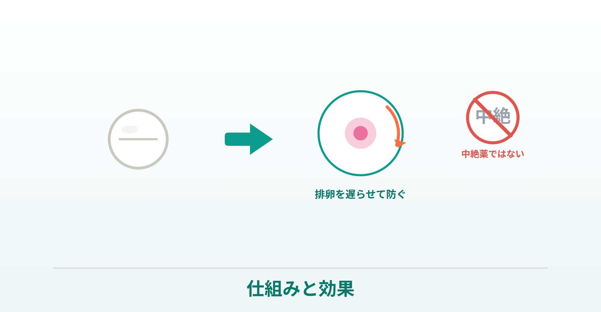 ノルレボ錠が排卵を遅らせて妊娠を防ぐ仕組み・中絶薬ではないことを表したイラスト