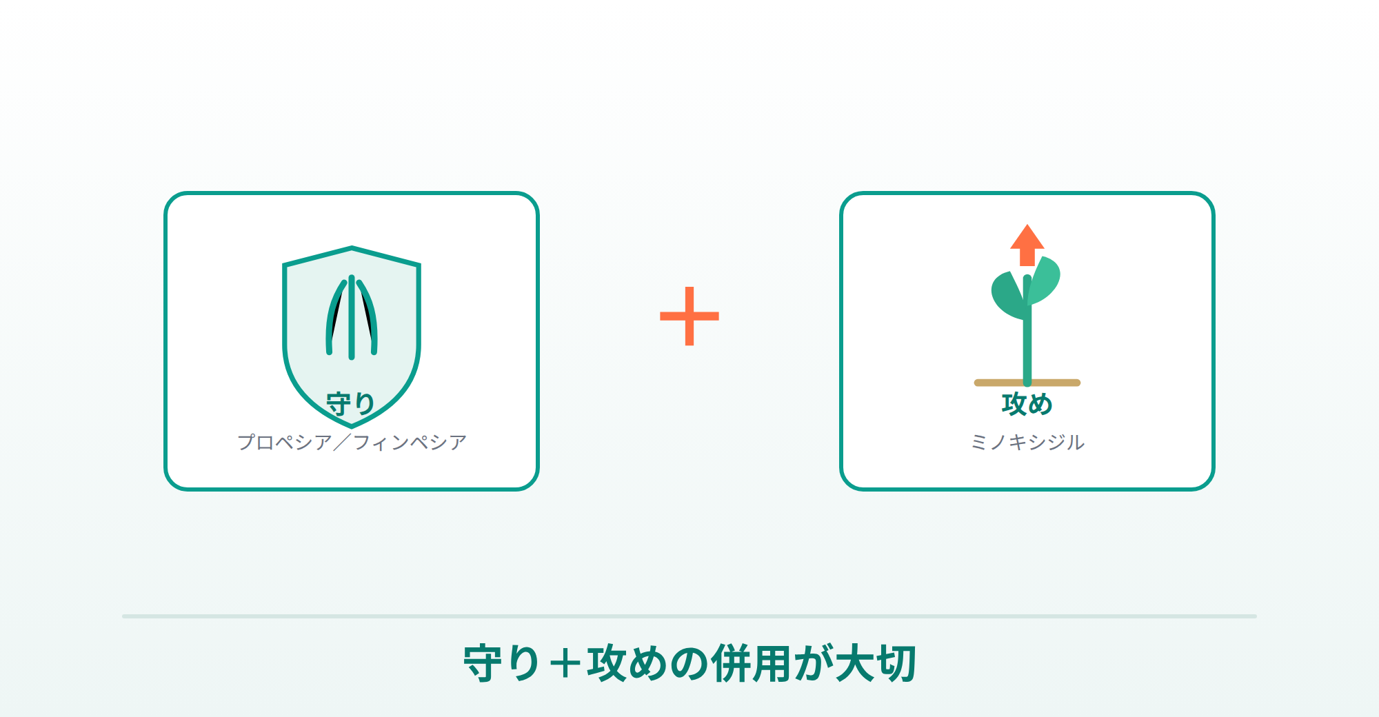守り（プロペシア・フィンペシア）＋攻め（ミノキシジル）の併用が大切なことを表したイラスト