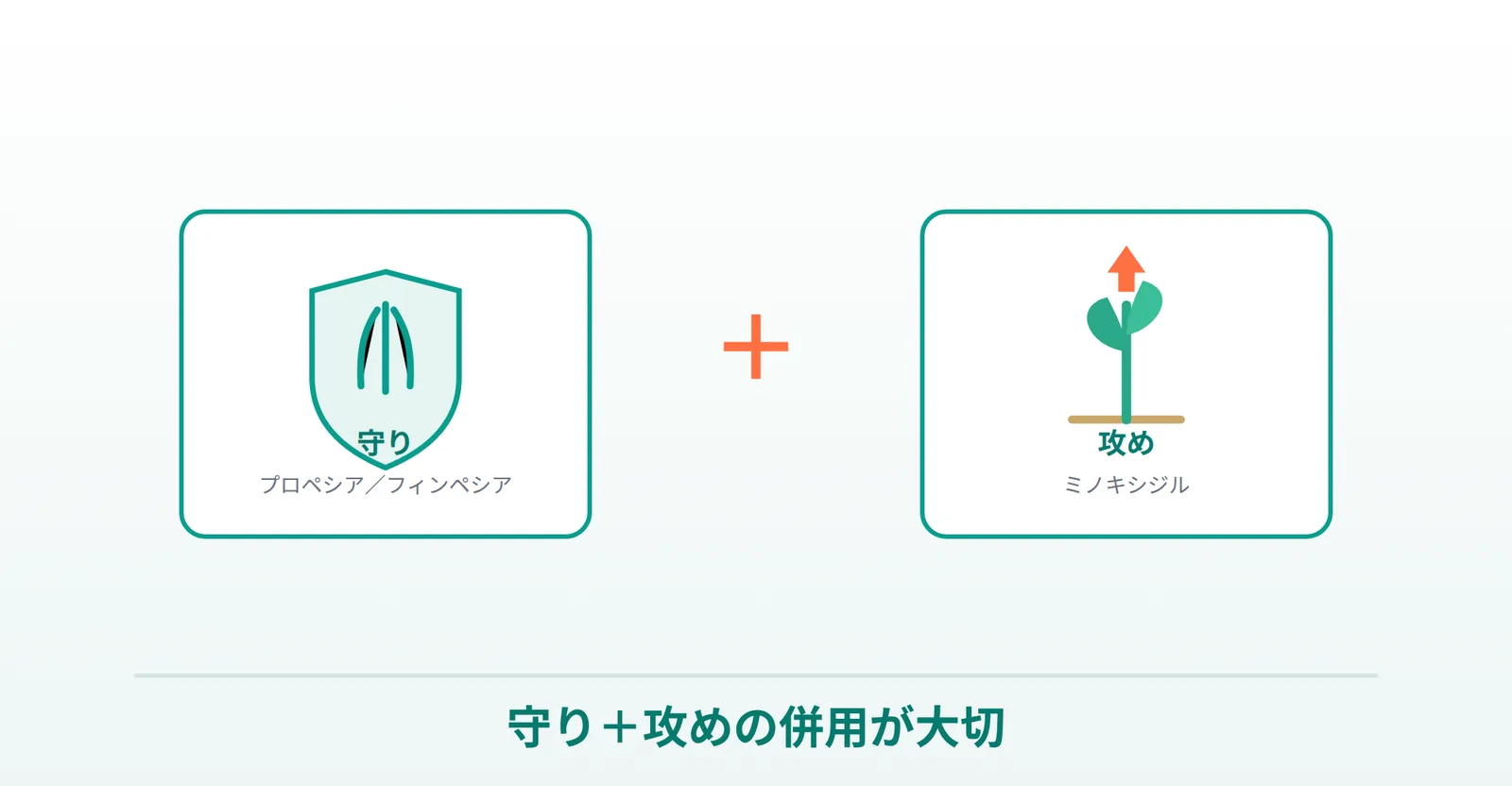 守り（プロペシア・フィンペシア）＋攻め（ミノキシジル）の併用が大切なことを表したイラスト