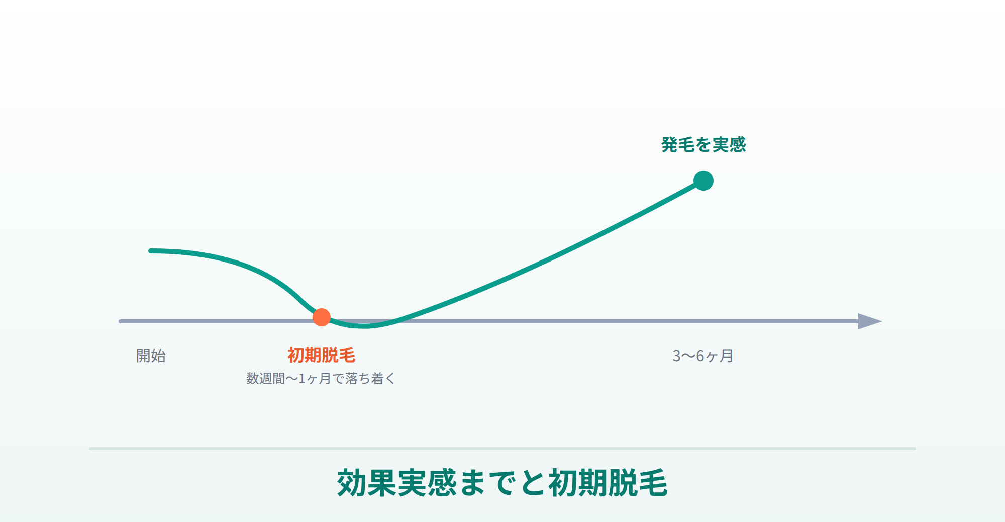 ミノキシジルの発毛実感まで（3〜6ヶ月）と初期脱毛をタイムラインで表したイラスト