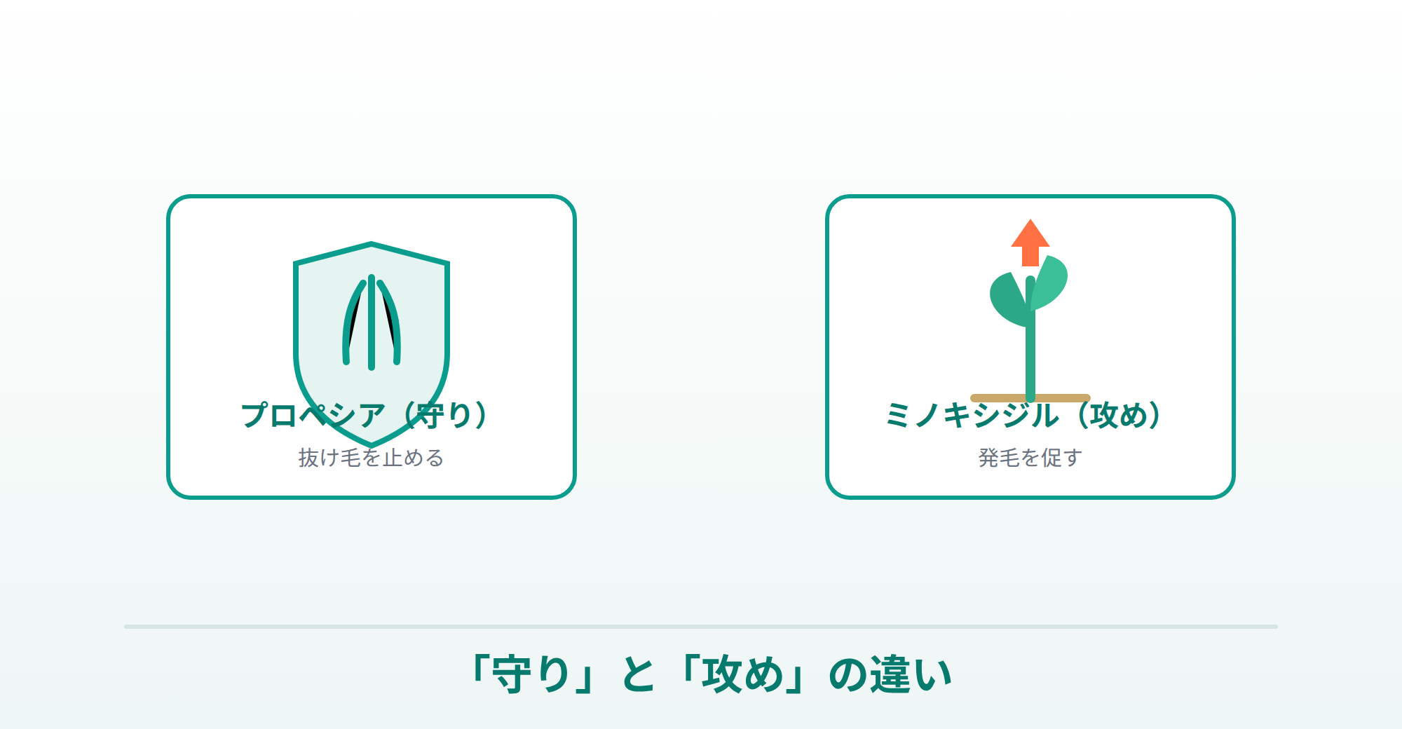 プロペシア（守り）とミノキシジル（攻め）の違いの説明画像