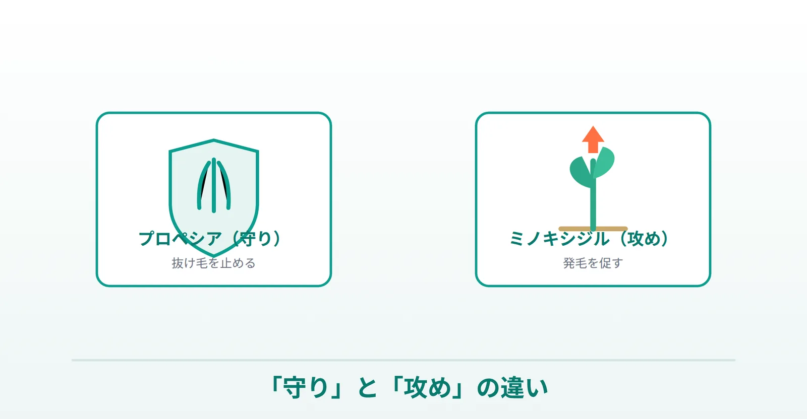 プロペシア（守り）とミノキシジル（攻め）の違いの説明画像