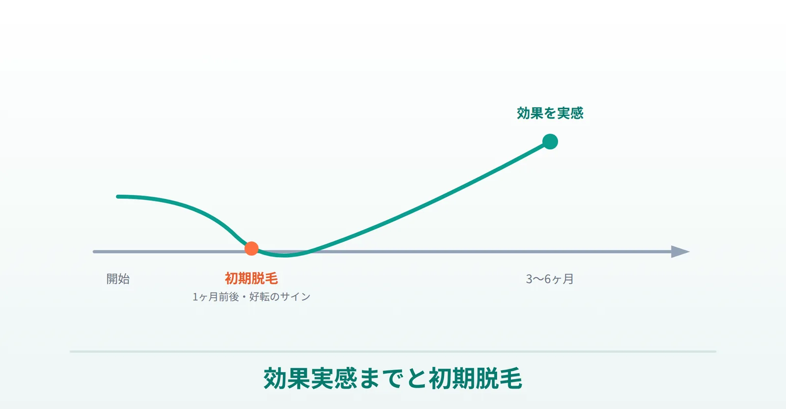 プロペシアの効果実感までの期間と初期脱毛の説明画像