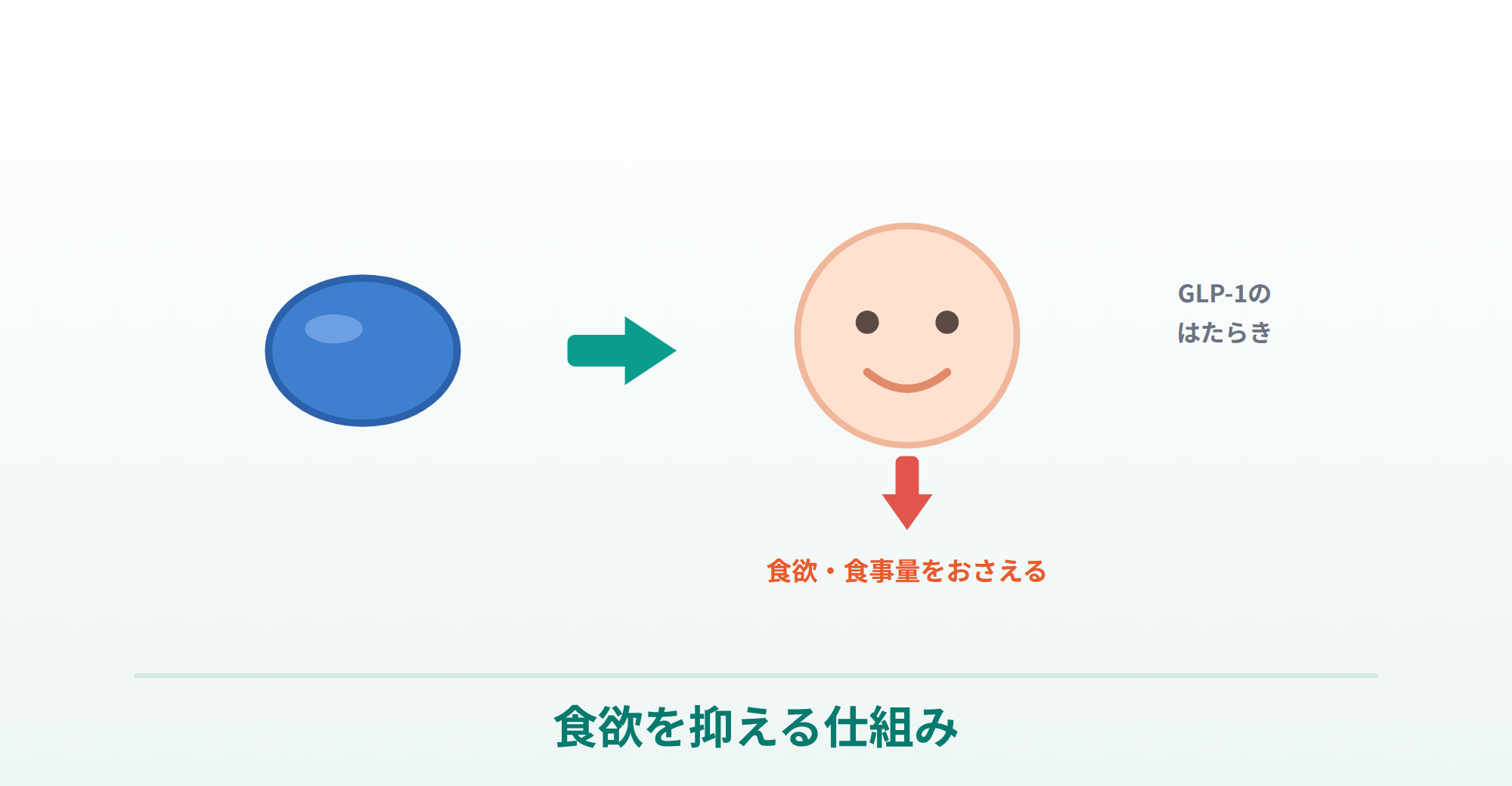 リベルサスが食欲・食事量を抑える仕組みを表したイラスト
