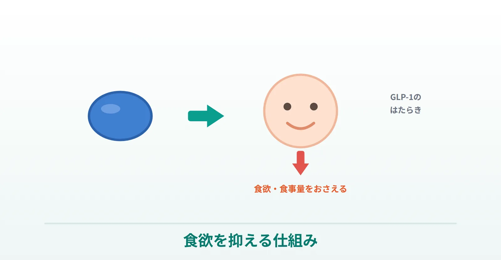 リベルサスが食欲・食事量を抑える仕組みを表したイラスト