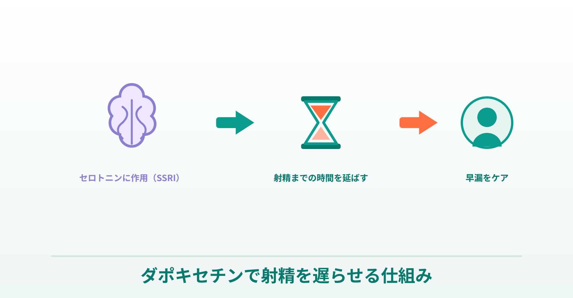 ダポキセチンがセロトニンに作用し、射精までの時間を延ばして早漏をケアする仕組みのイラスト