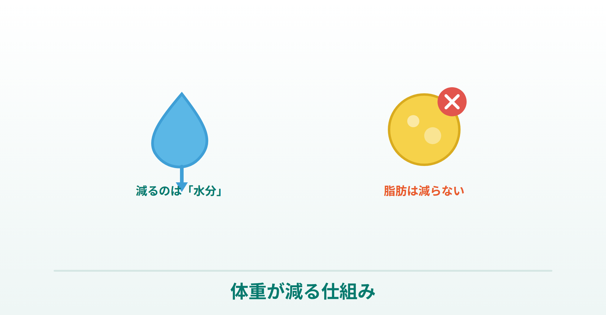 トールで減るのは水分で脂肪は減らないことを表したイラスト